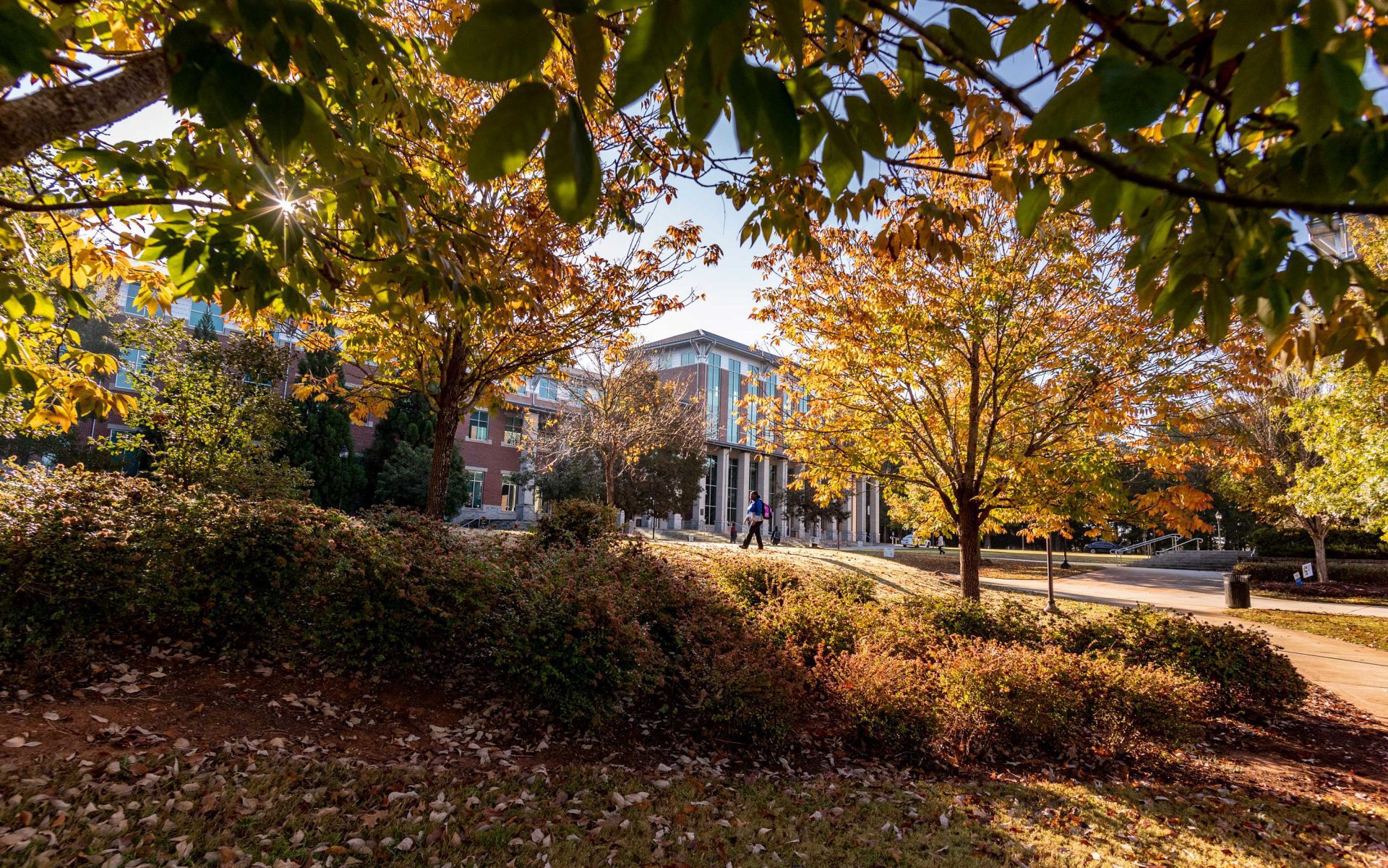 Wide shot of Alpharetta campus during the fall.