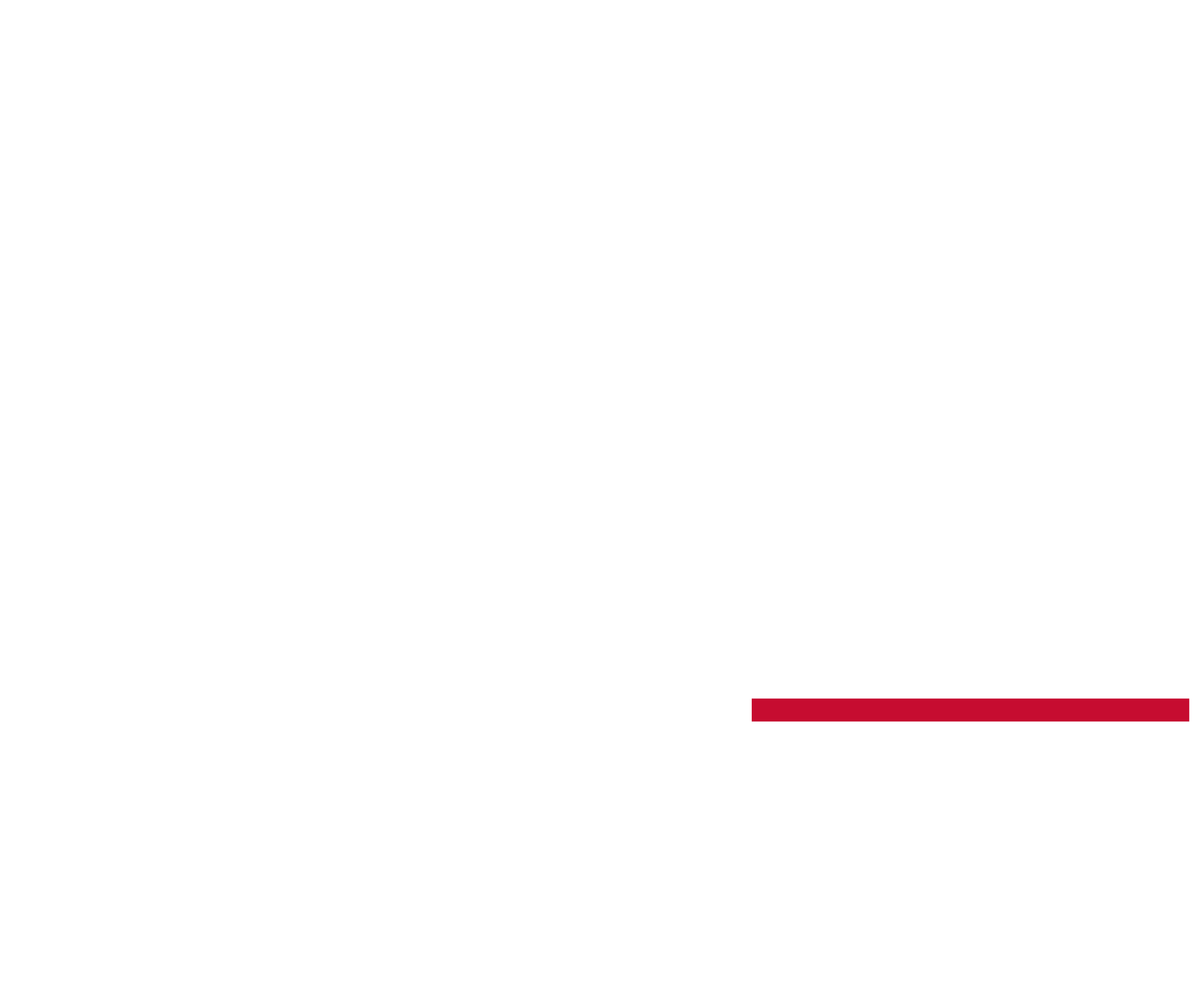 Georgia State Viewbook